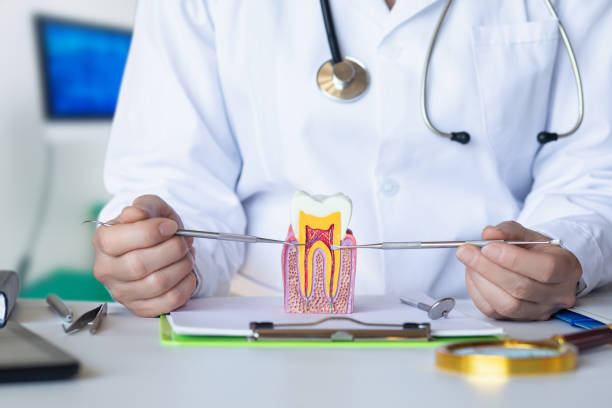Best Emergency Dental Care for Trauma or Injury in Buchanan, GA